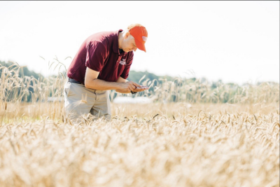 Virginia Tech’s Alliance to Advance Climate-Smart Agriculture enrolls 1,300-plus farms in first year of landmark pilot program