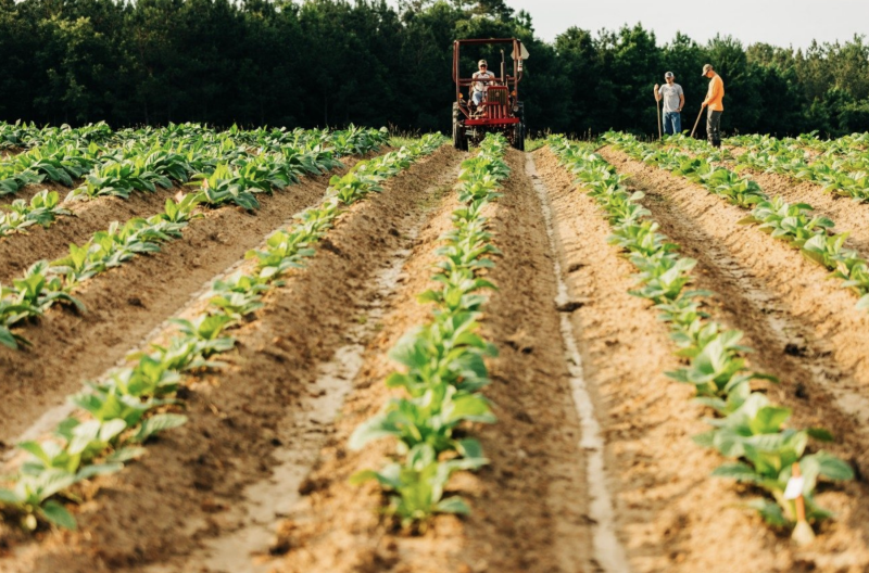 Virginia Tech, Virginia Cooperative Extension receive $1 million grant to promote soil health