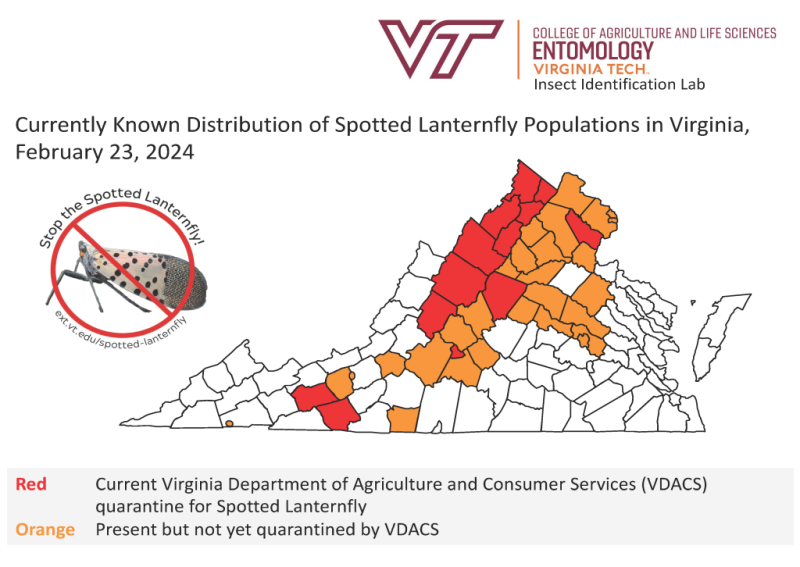 Map of Spotted Lanternfly Distribution in the State of Virginia