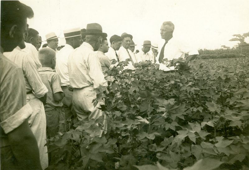 Eugene Taylor Batten - 1940- in cotton field with stakeholders
