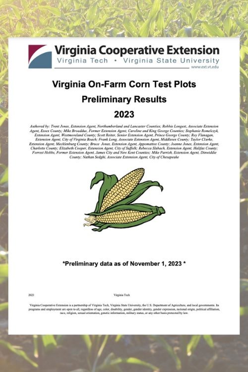 2023 VA On-Farm Cotton Test Plots Preliminary Results- Cover Photo- Corn graphic