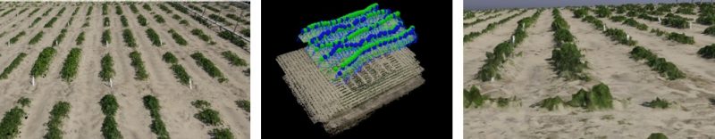 3D reconstruction of peanuts fields using drone imagery