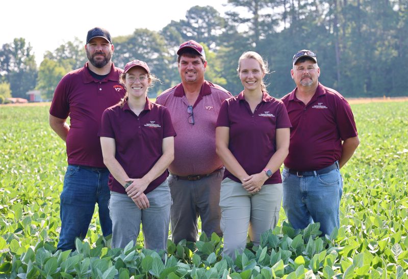 soybean research team wearing maroon VT polo shirts in the field at Tidewater AREC