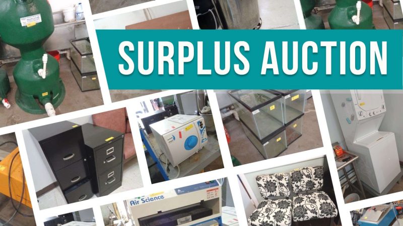 Surplus auction banner