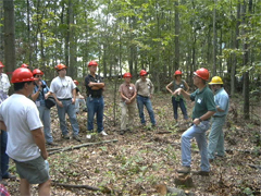 Forestry Meeting