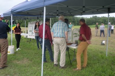 Field day attendees looking at plant samples set up in booth.