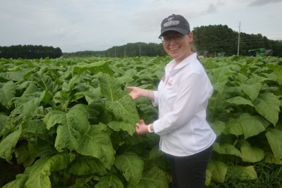 A woman wearing a hat and glasses holds a tobacco leaf in the field. 