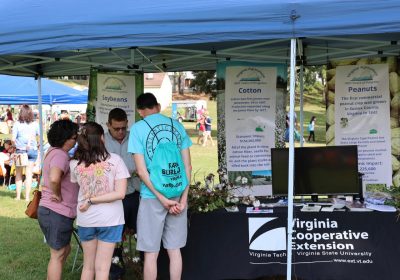 A Virginia Cooperative Extension agent speaks with guests about cotton at an outdoor booth.