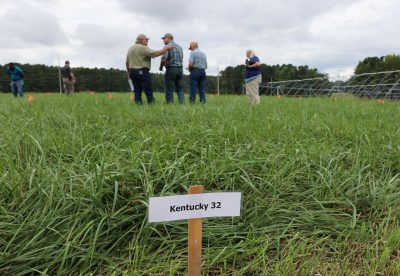 A sign labeled Kentucky 32 is shown in the ground in front of visitors examining the grass during the Forage & Livestock Field Day