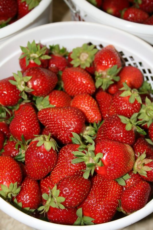 Bucket of Strawberries