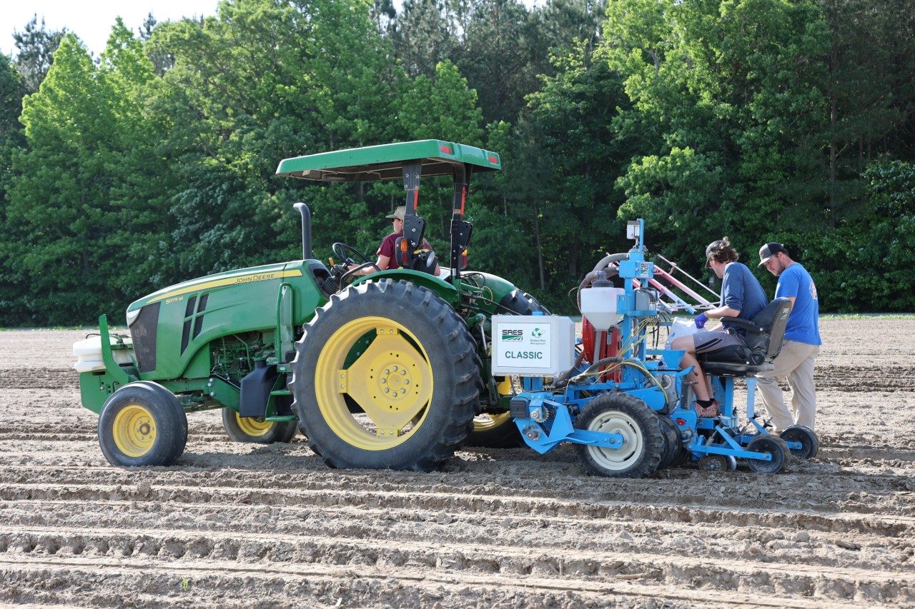 Planting peanuts in field - One woman on tractor and two men following with planter
