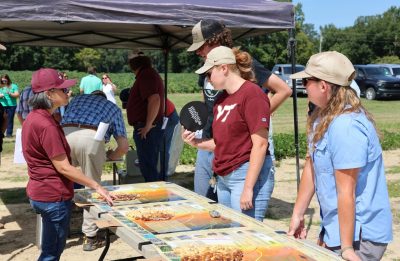 The PVQE team talks with field day guests about color grading peanuts to assess maturity.