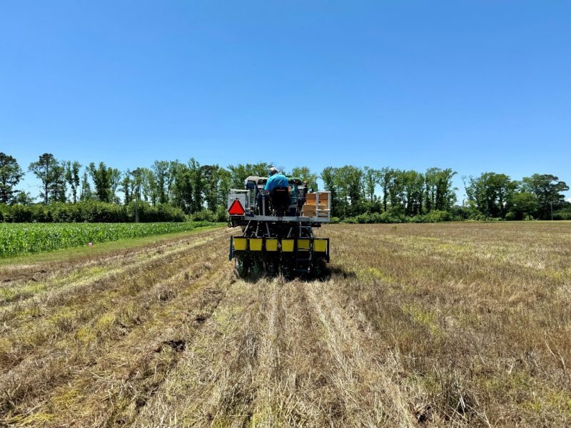 Technician planting soybeans on tractor in field