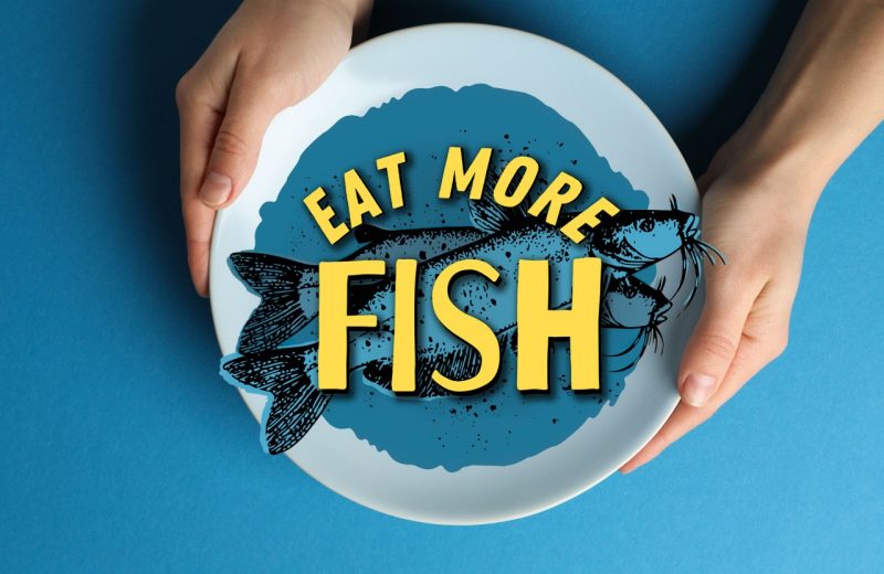 Eat More Fish Logo