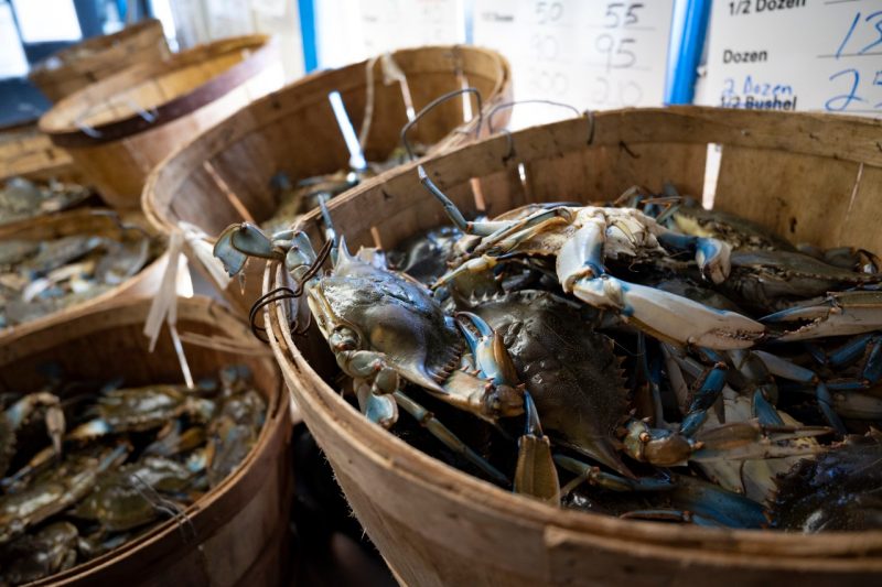 Blue crabs in baskets on store shelves.